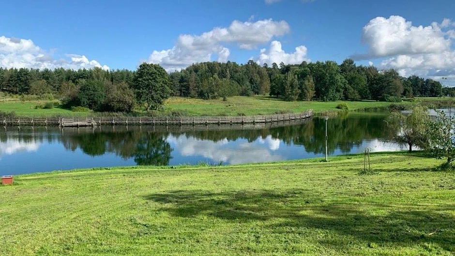 BBC | Foto: BBC/Dejana Vukadinović