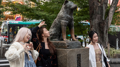 Historia wiernego psa Hachiko sprzed 100 lat, która wzruszyła świat