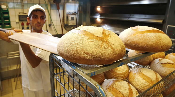 Ön szerint mostantól rendes kenyeret kapunk? /Fotó: Fuszek Gábor