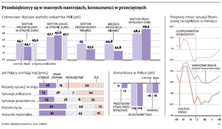 Ostatni bal na zielonej wyspie. Polakom kończą się pieniądze