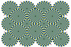 Widzisz kręcące się węże? Na tym polega tajemnica popularnej iluzji optycznej