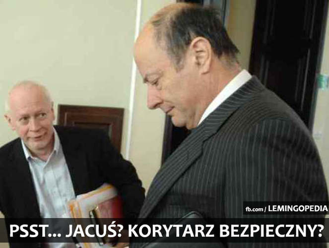 mem / źródło: Facebook/Lemingopedia