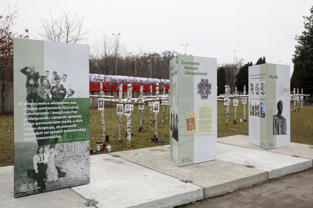 Obchody Narodowego Dnia Pamięci Żołnierzy Wyklętych. Nowo otwarte wystawy plenerowe o rtm. Witoldzie Pileckim oraz o ppłk. Łukaszu Cieplińskim w kwaterze "Ł" Cmentarza Wojskowego na warszawskich Powązkach