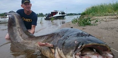 Potwór pływa w Wiśle! Wypuścili go!