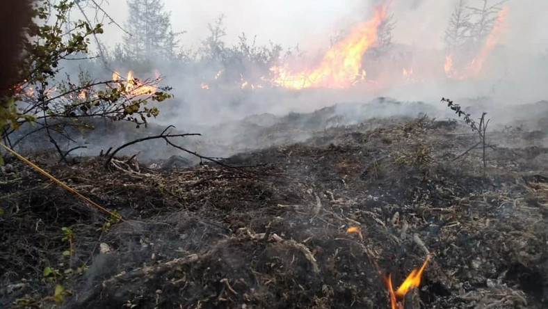 Rosja: Ogromne pożary lasów na Syberii. Spłonęło ponad 300 ...