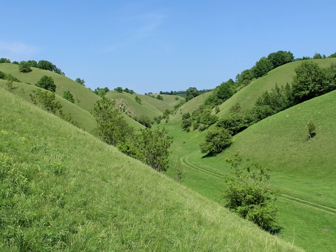 Zagajička brda