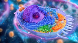 Podstępny QUIZ z biologii. Uczeń da radę, a Ty? Dwa pytania to łatwizna