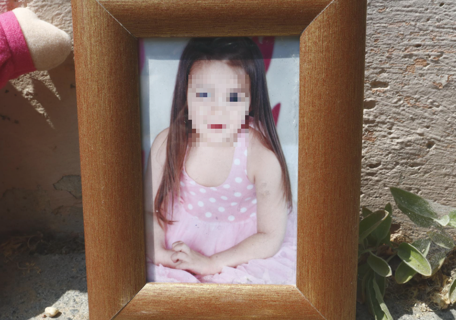 Pannika rövid ideig egyedül maradt a lakásban Fotó: Grnák László