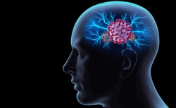 Naukowcy: Koronawirus może dostać się do mózgu i zakażać neurony