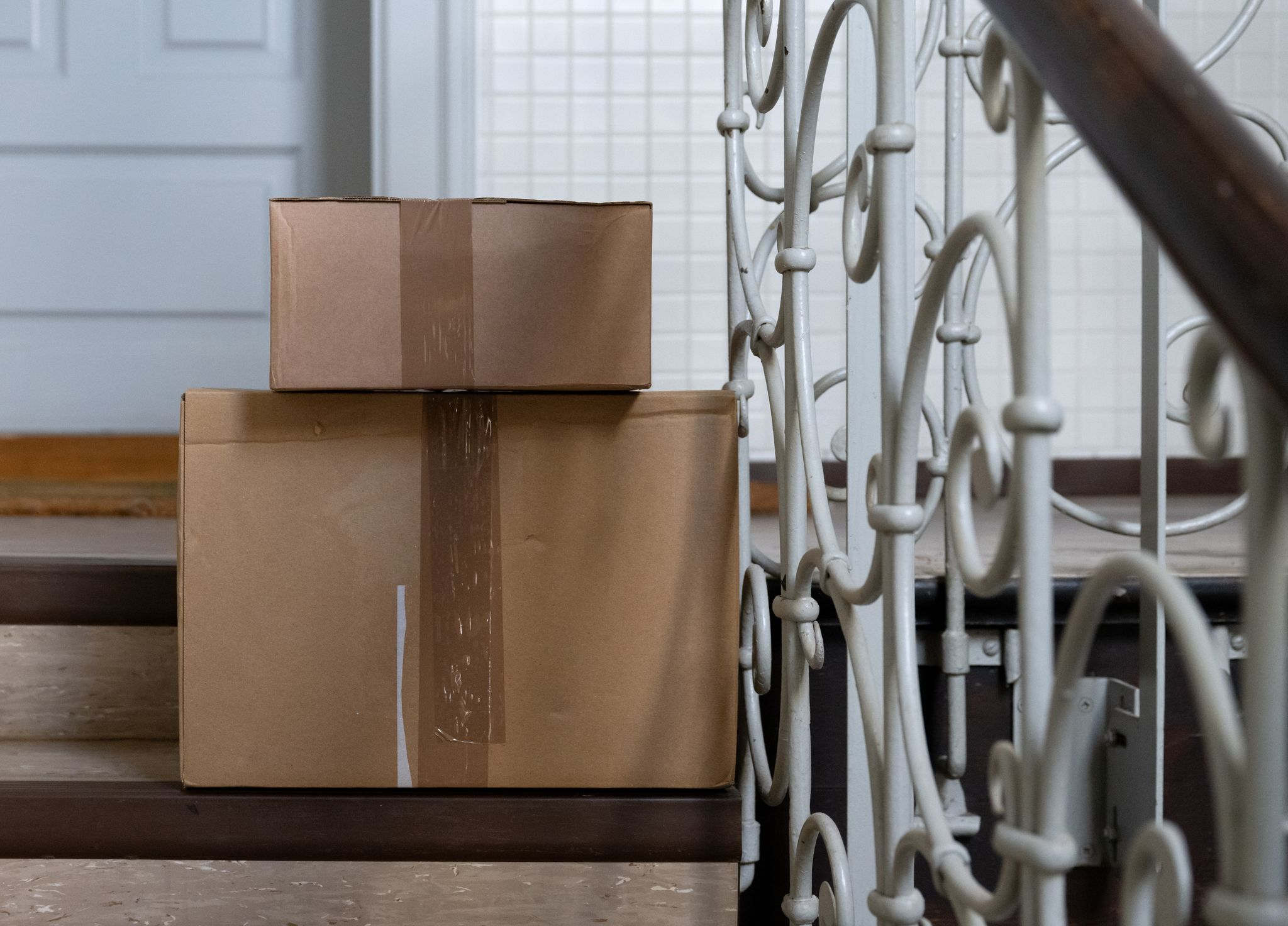 Katze eingeschlafen: Frau verschickt Tier versehentlich