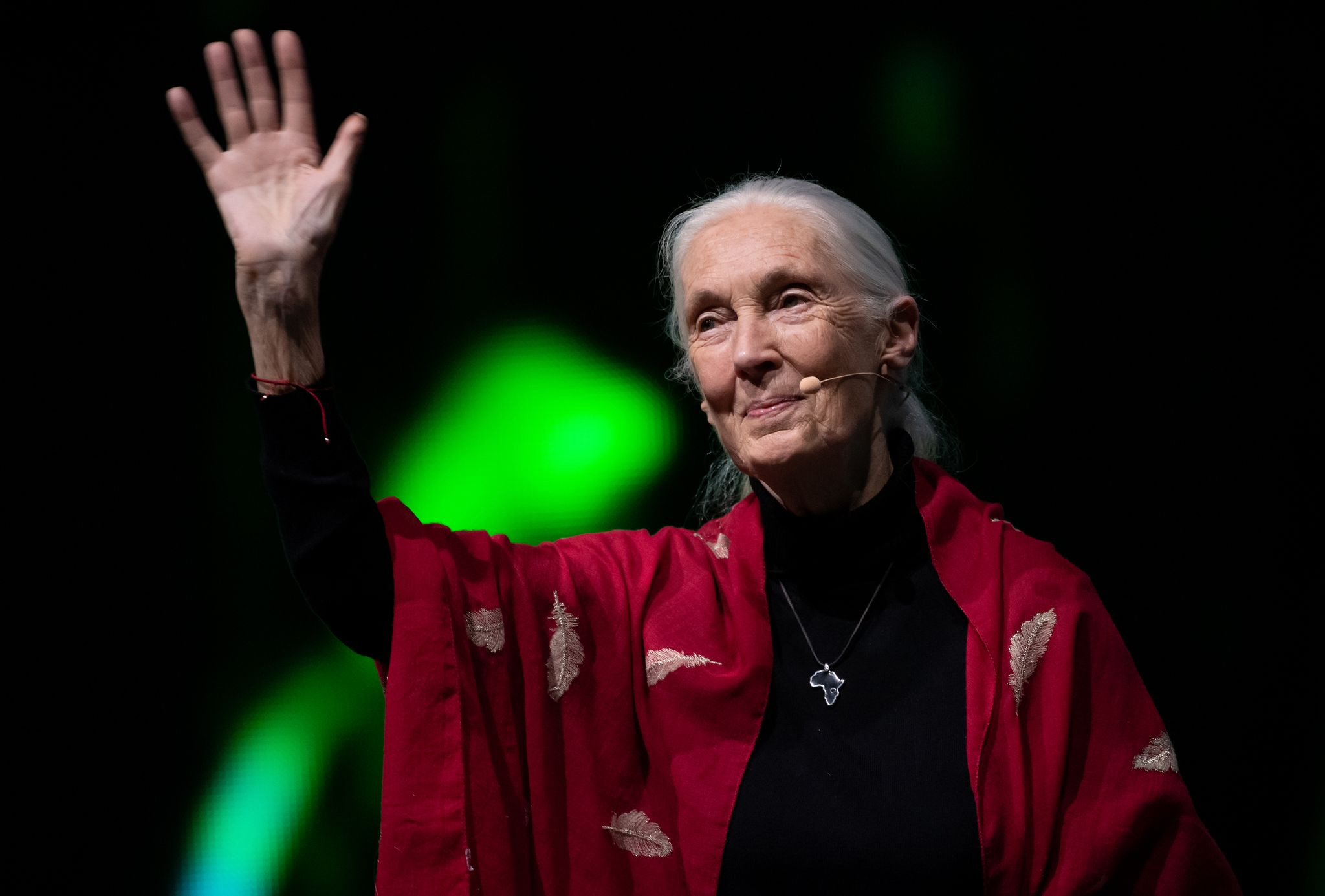 Jane Goodall stirbt mit 91 - Obama, Biden würdigen Legende