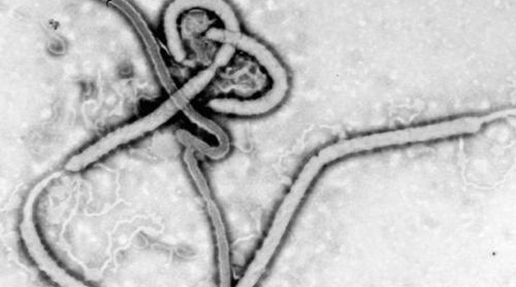 Kötelező a karantén az orvosoknak az Ebola miatt