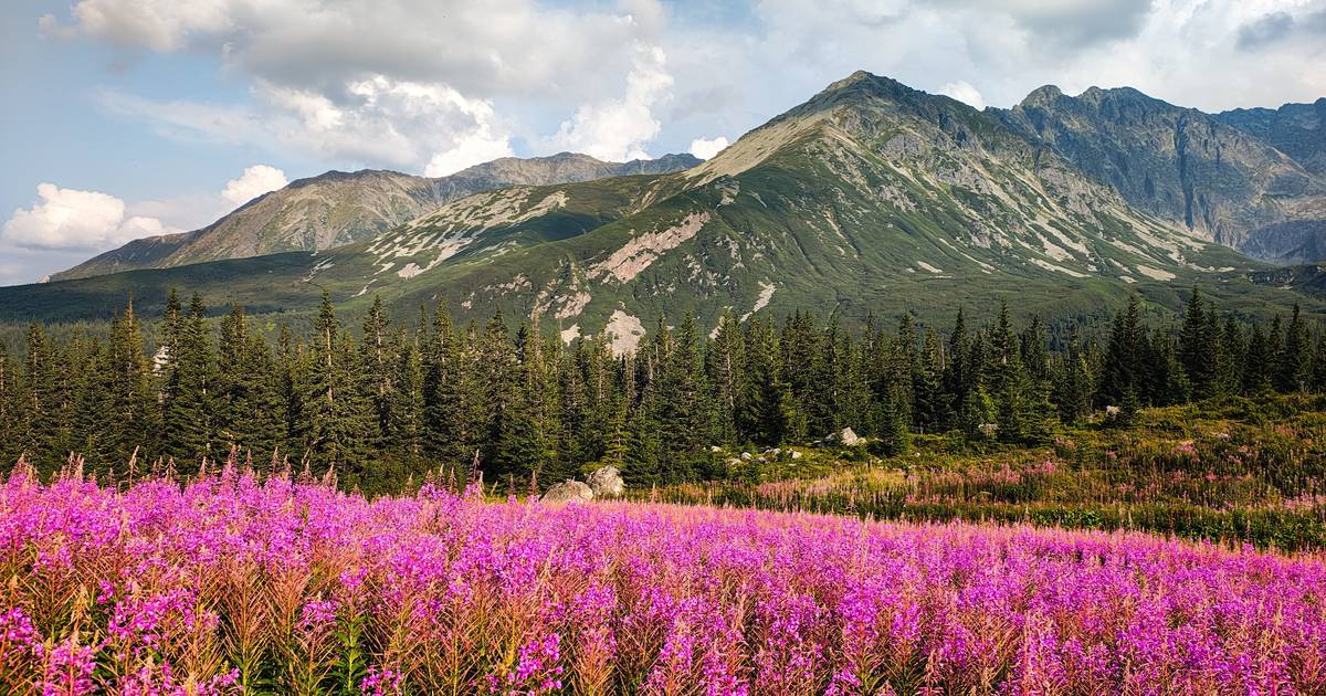 Znasz Polskę jak własną kieszeń? Udowodnij to w naszym quizie