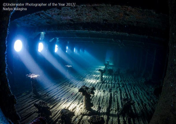 2017 Underwater Photographer of the Year