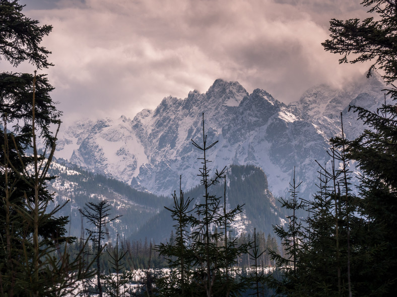 Krajobrazy -  Polskie Tatry