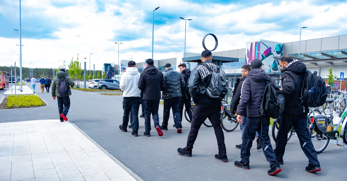 Praca w Niemczech bez doświadczenia i znajomości języka. Pensja i tak większa niż w Polsce