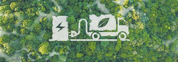 TSL: Zielona rewolucja w tempie żółwia