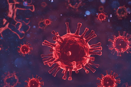 Nowa mutacja koronawirusa SARS-CoV-2. Specjalne spotkanie WHO