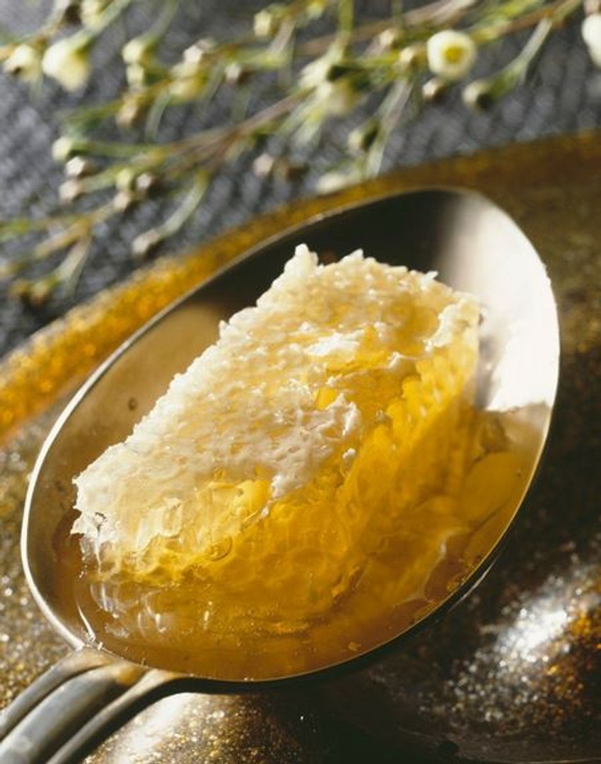 Žvakanje voštane mase saća naročito je korisno za sluzokožu svih organa za disanje.