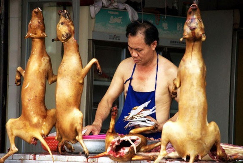 YULIN, CHINA