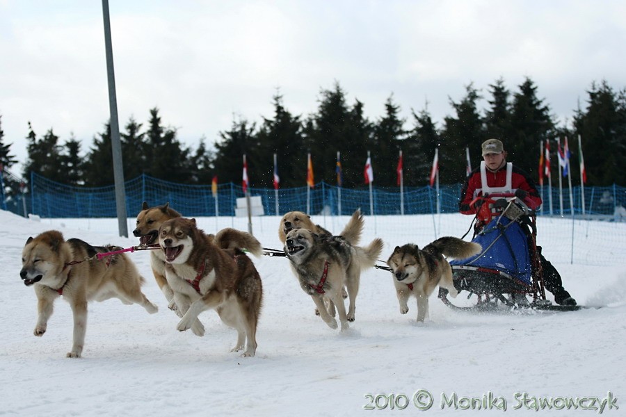 W dniach 26-27 lutego 2010 r. odbyły się Mistrzostw Świata WSA