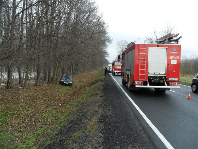 Tragedia pod Nysą