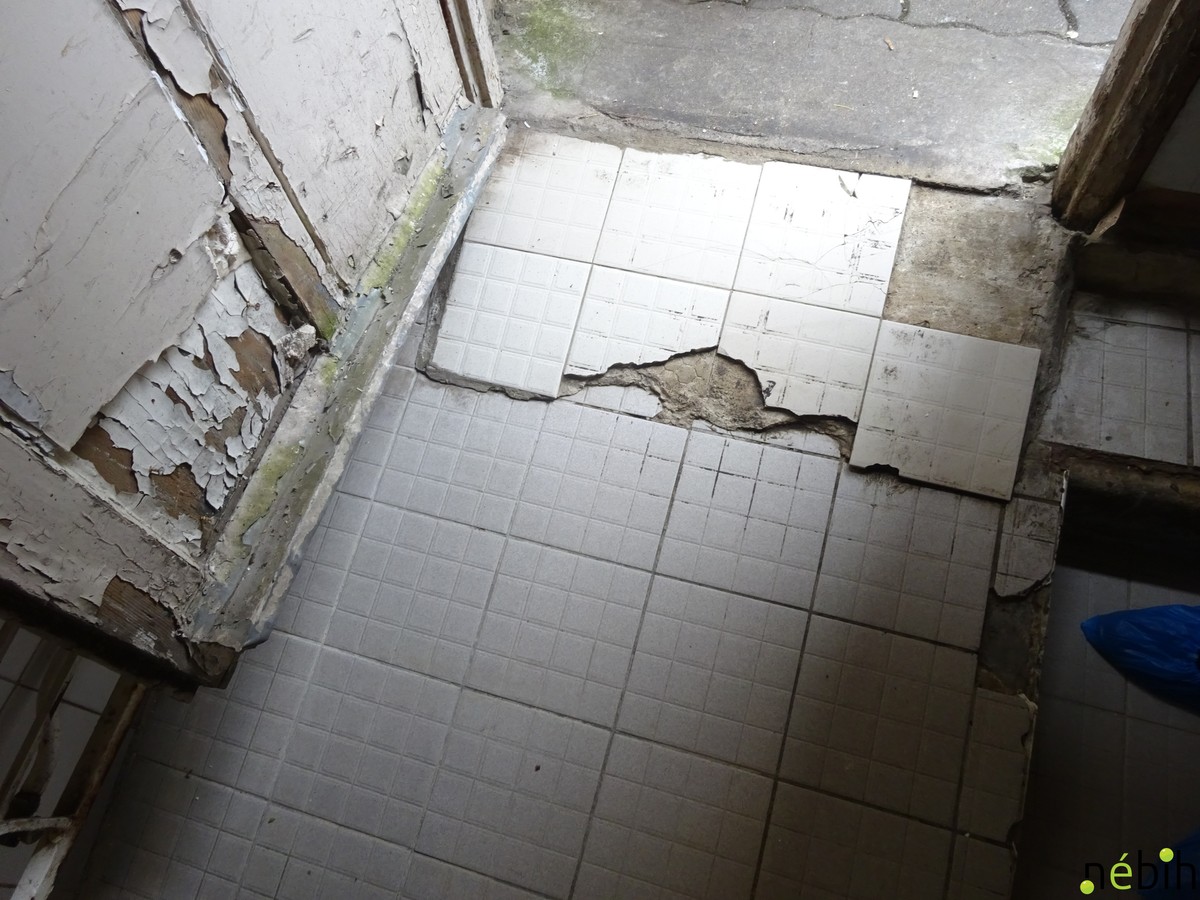 Horroréttermet záratott be a Nébih Debrecenben: döbbenetes állapotokkal szembesültek az ellenőrzéskor – fotók, videó