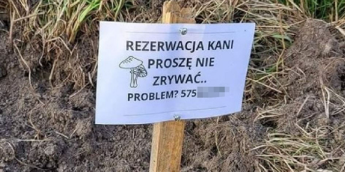 Turyści, którzy ostatnio wybrali się w okolicę góry Chełmiec pod Wałbrzychem, na jednej z tamtejszych polan mogli się natknąć na tabliczkę z zaskakującym napisem.