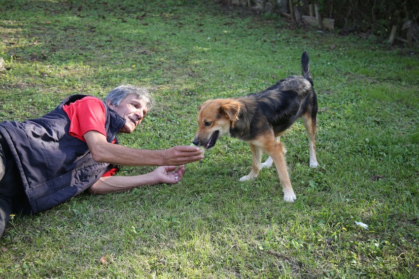 Vlada Grbić sa Medom