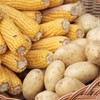 Krompir i kukuruz često se izbacuju iz ishrane zbog straha od skoka šećera