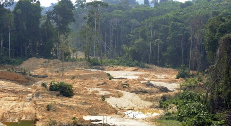 The Reserva Nacional del Cobre y Asociados is bigger than Denmark and home to virgin forest, as well as indigenous territories of the Aparai, Wayana and Wajapi tribes