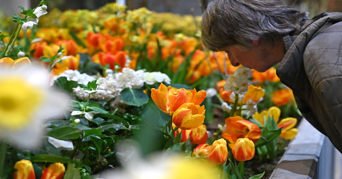 350-000-Besucher-st-rmen-Gr-ne-Woche-Messe-verh-ngt-Aufnahmestopp