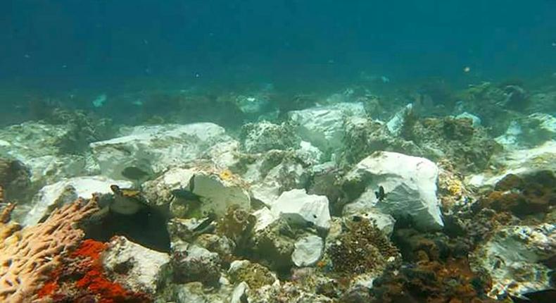 The Caledonian Sky cruise ship slammed into the reefs at low tide around Kri, one of hundreds of small islands in a pristine region of Indonesia