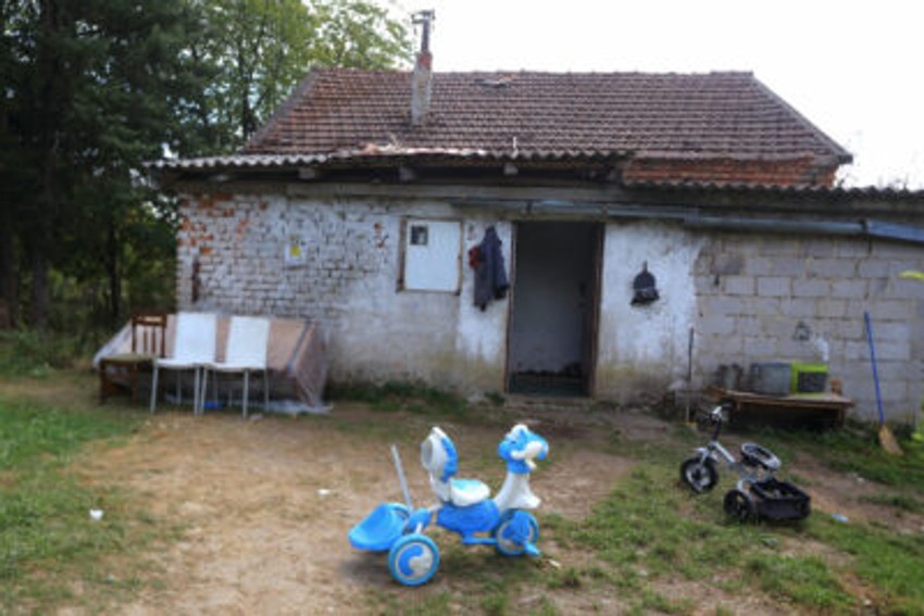 porodica Šišarica 1