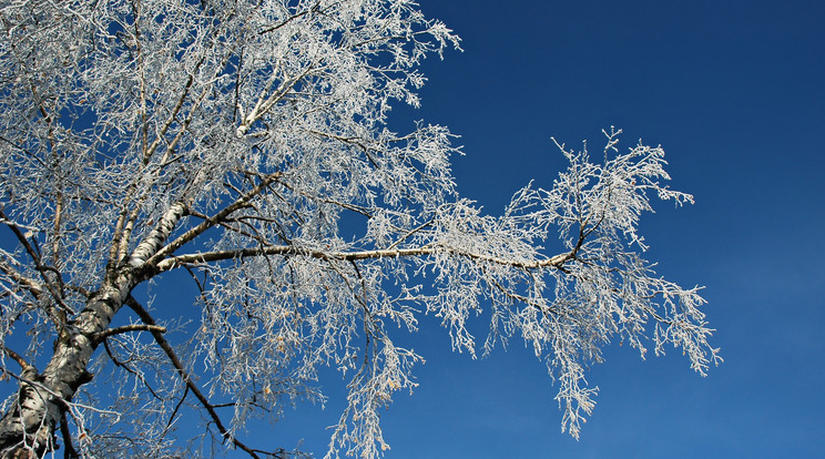 Az idei karácsonyi tájnak is csak a zúzmara és a korábban lehullott hó ad egy kis fehérséget /Fotó: Northfoto
