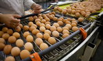 Polscy producenci jaj zaniepokojeni. Zagraża im konkurencja ze wschodu