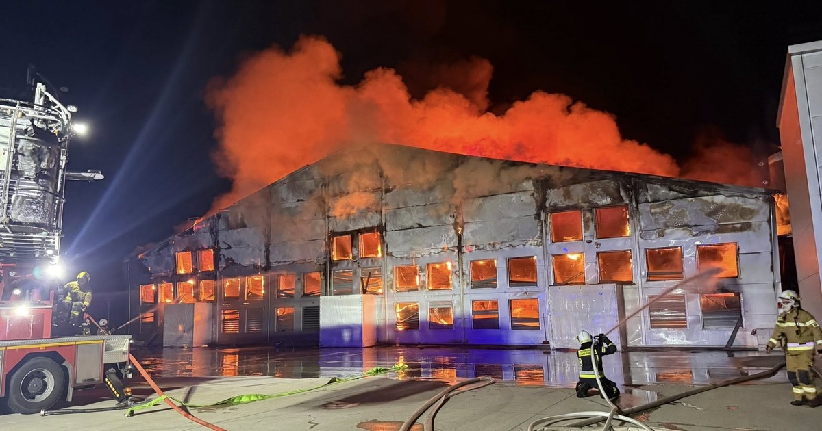Ogromny pożar w Falkowicach. 200 tys. zwierząt w śmiertelnej pułapce