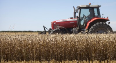 Połowa żywności produkowanej przez ludzkość marnuje się