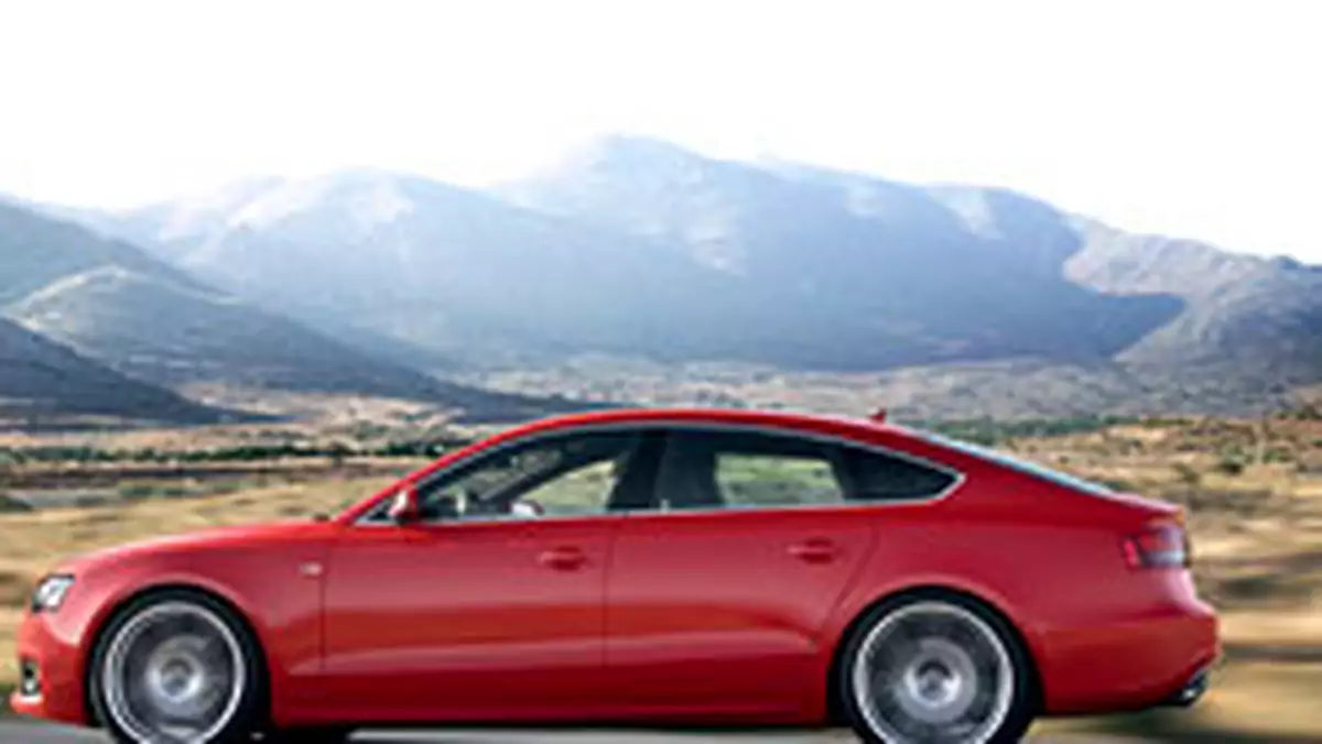 Audi uważa, że ożywienie rynku potrwa 3 lata