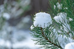 Takiego Bożego Narodzenia nie było od lat! Oto pierwsze prognozy. Czy pogoda bardzo nas zaskoczy?