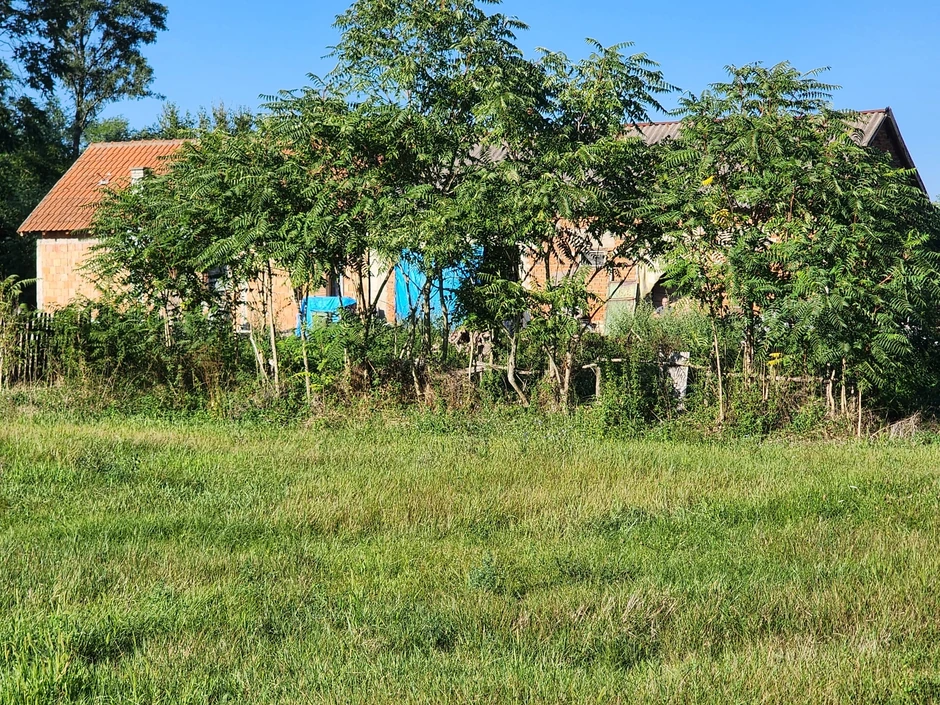 Kuća koju je zapalio osumnjičeni Srđan 