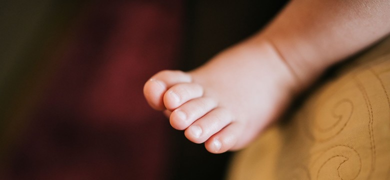 Zgorzelec. Pies zagryzł 2-miesięczną dziewczynkę. Nowe informacje