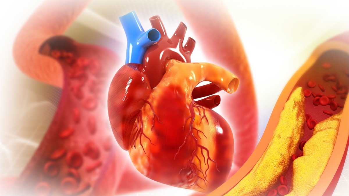 Arterije su krvni sudovi koji prenose krv bogatu kiseonikom kroz telo