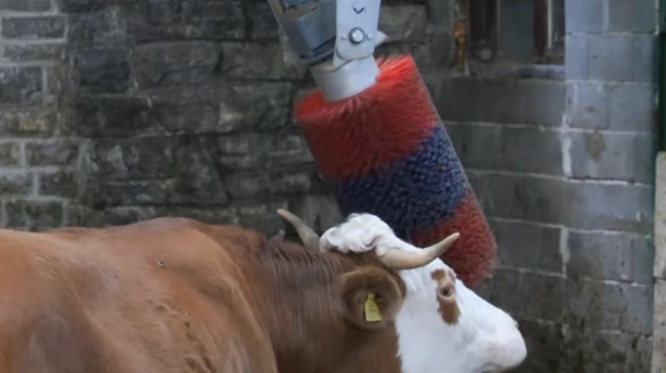 Farma Jove Vujinovića