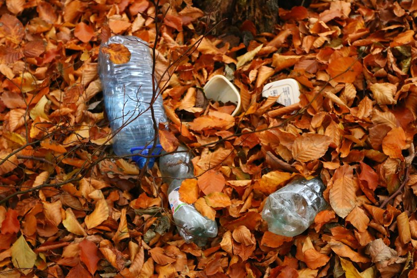 Poszukiwacze skarbów rozkopali górę