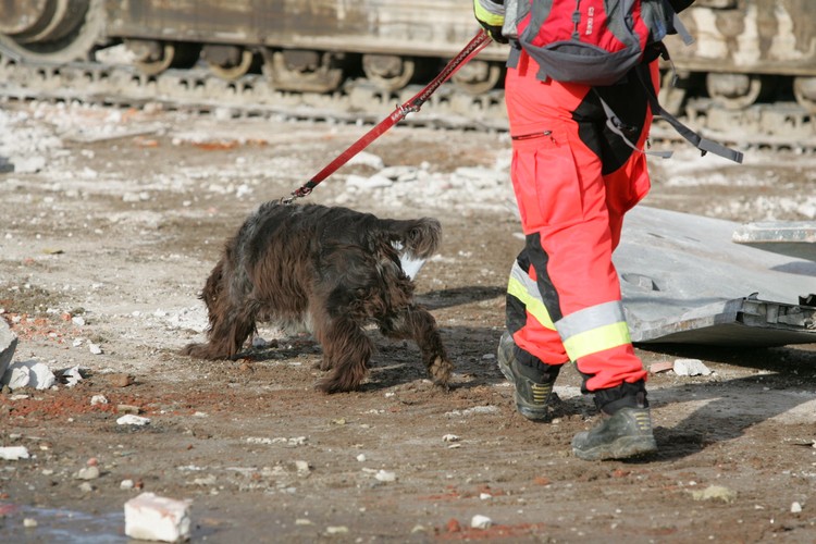 Akcja straży pożarnej na miejscu katastrofy budowlanej