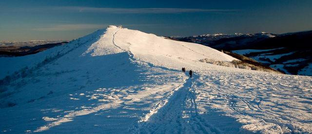 Galeria Polska - Bieszczady w zimowej szacie, obrazek 8