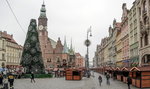 Choinka już stoi na wrocławskim Rynku!