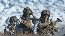 jest wspólna deklaracja ośmiu krajów europejskich, którym trump grozi