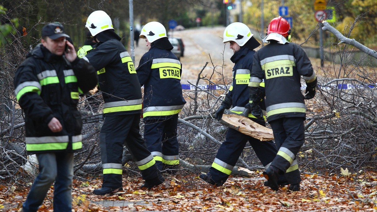 Po fali silnego wiatru, która przeszła wczoraj nad regionem, dziś rano w Pomorskiem bez prądu pozostaje około stu odbiorców. Awarie powinny zostać usunięte w ciągu dnia.